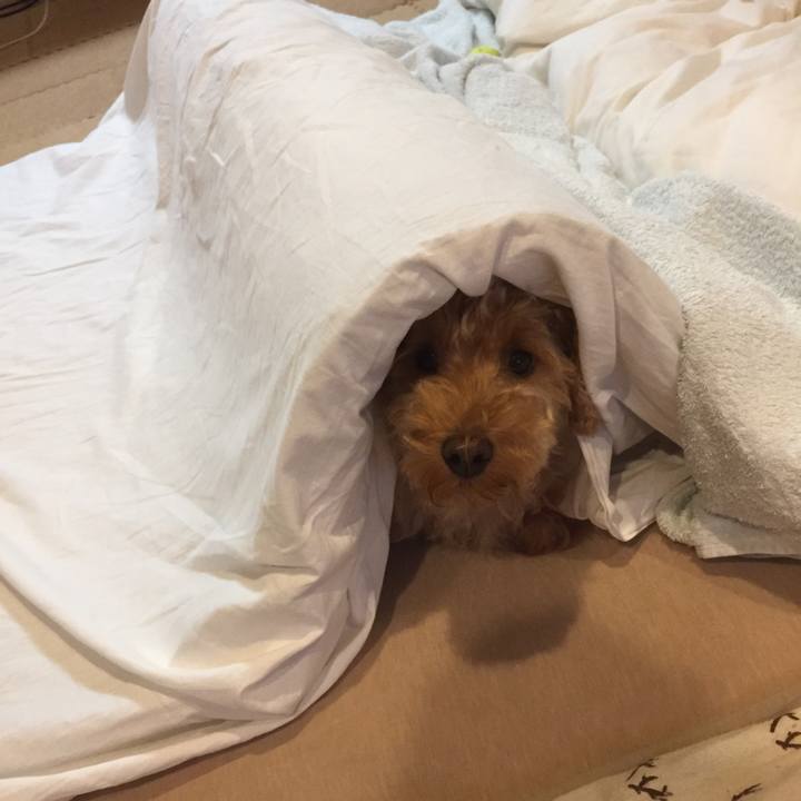 275d1cad 7ffb 48ef bd8c cff142ae4d4a