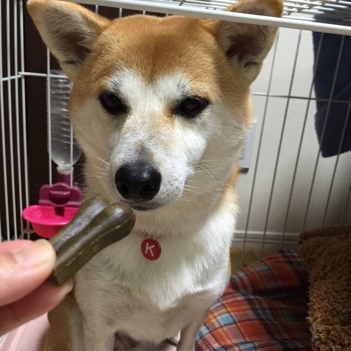 275da688 5851 4a5b b438 4e590538311a