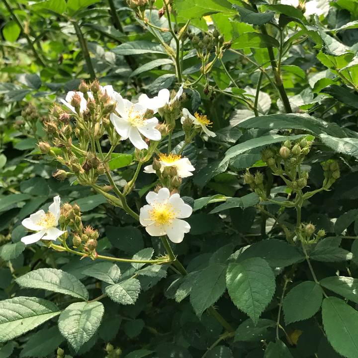 275dc643 051a 47dc 8d9a b8d565f0ad1f