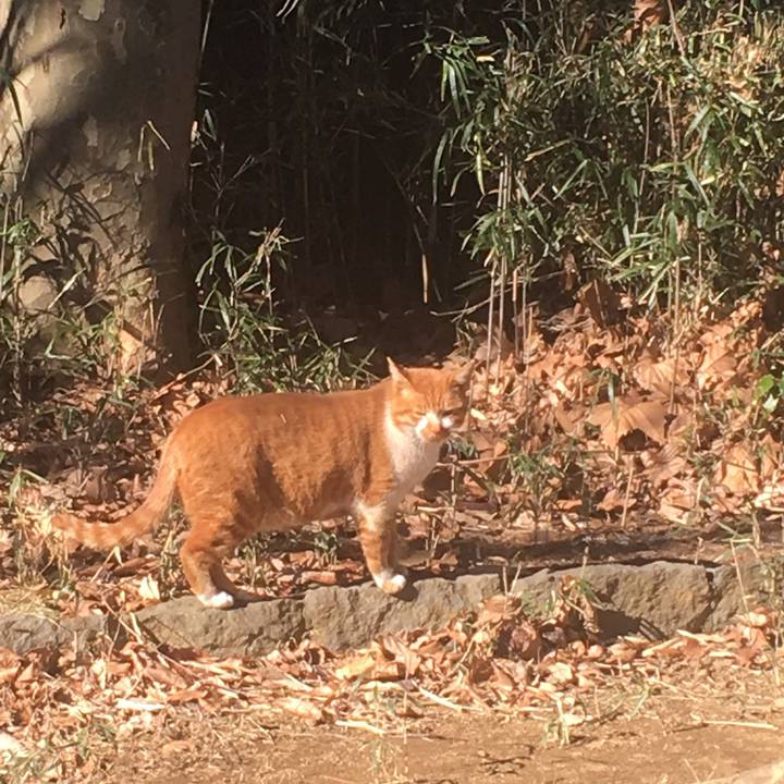 275edcb1 a2d6 4aff b951 777bf4cf23fc