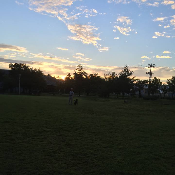 275f152a 42ec 4d40 b7f7 afd8f25e50ce