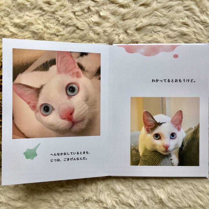 275f198d b8ff 4e7a 88b4 c5bf612a90ff