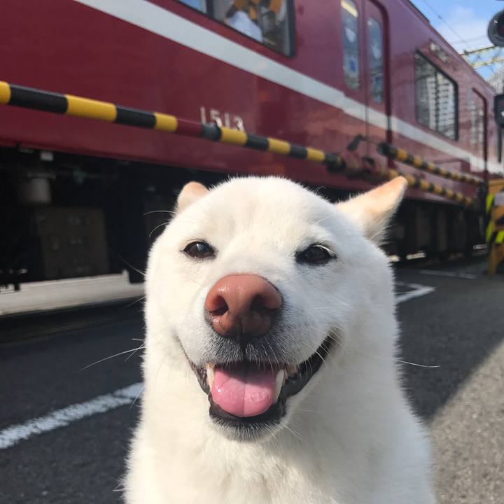 27603dab 86f6 4775 bec0 3e2bfb6026b9