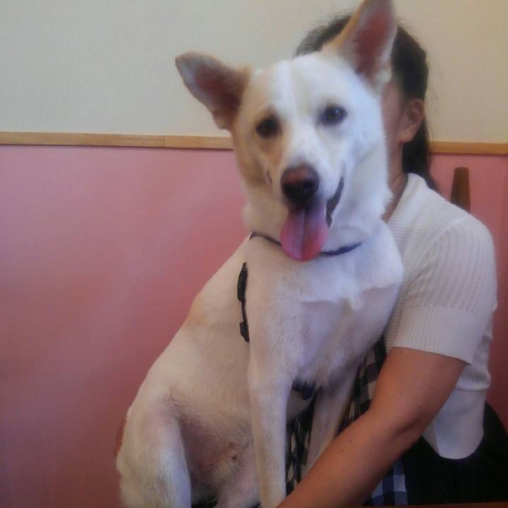 2760864d fe76 4ca5 a467 4e54bd123e6e