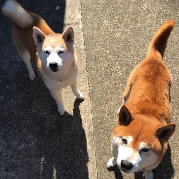 2760b9ee c886 4054 b490 f7330d138d08