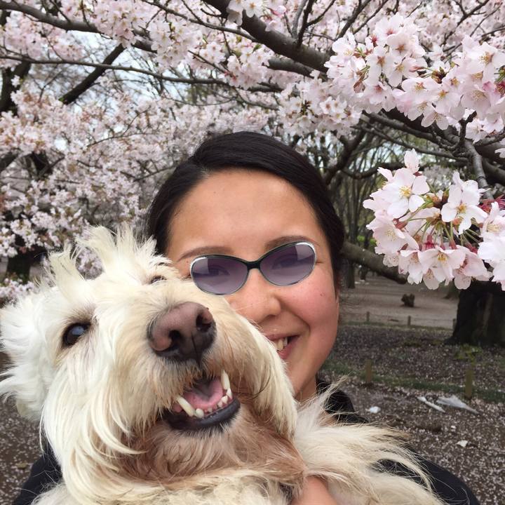 27610287 8c82 4292 8d46 377be4eafad7