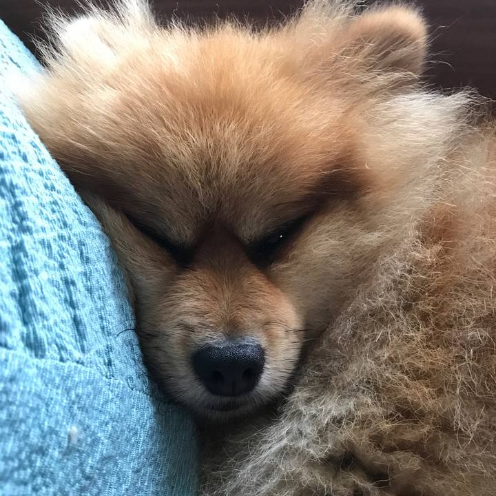 27612d46 eb56 48c1 9e78 b8f2ee898f47