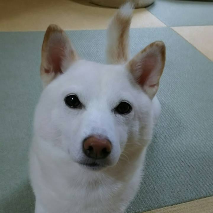 27625aab 81aa 42a3 8c58 98a5375f4d57