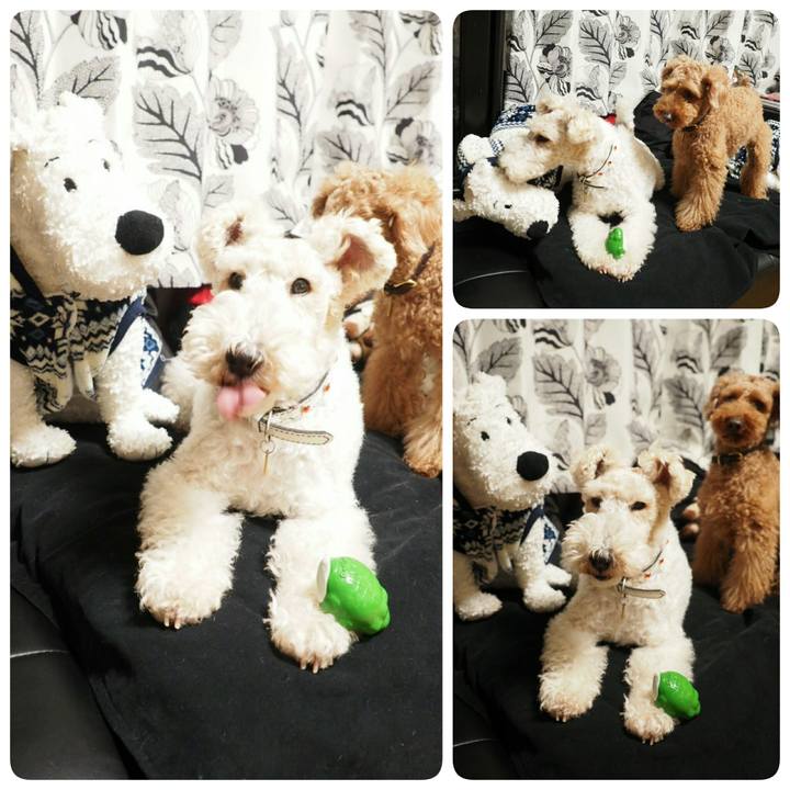 27635cff 98c8 4461 adf7 814e714dae2b