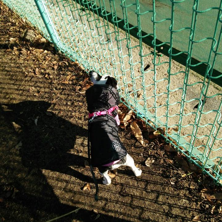 276393be 0ac6 45c8 bdda 9c2bad40bb06