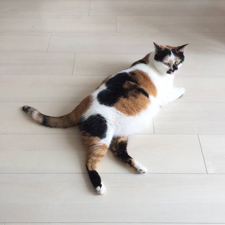 2763efc0 7593 4d63 bccc d8c873219a7c