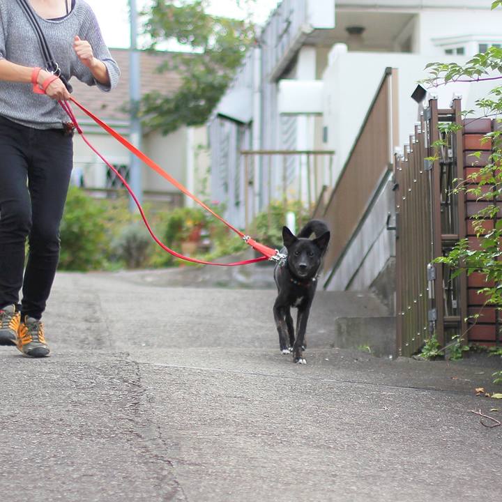 27649c68 68d4 49ec a0f9 0bf5d2af52f9