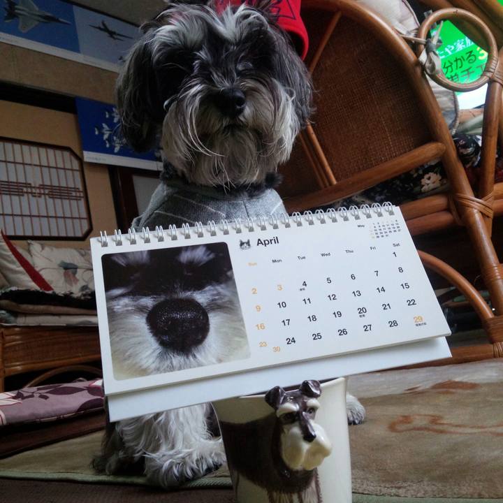 2764a740 6677 412a b4a3 08154e5b6cff