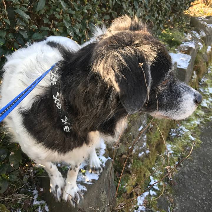 2764d326 7a17 4702 9f6f 06bf7eeda2fa