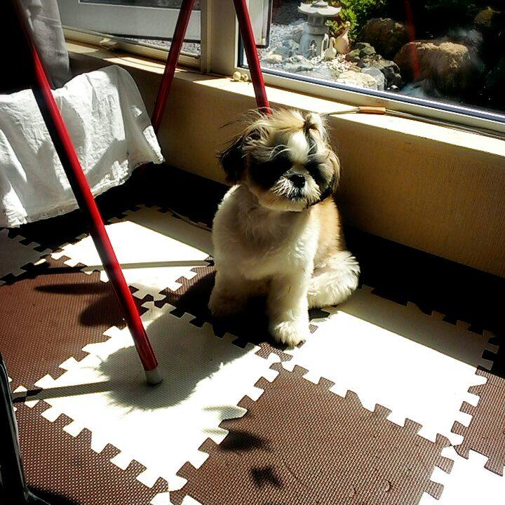 27650203 1d7e 4faa aa92 0e0057b1286e