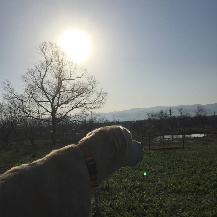 276512e4 c40d 4789 a7b3 0518cb1410c4