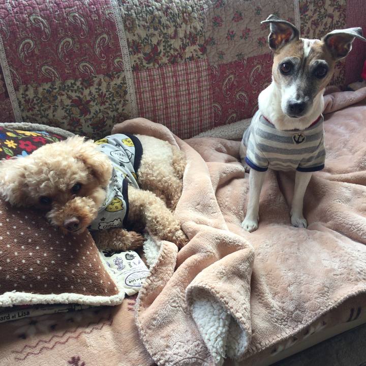 276579d3 104b 4165 8c46 96114d93b0ae