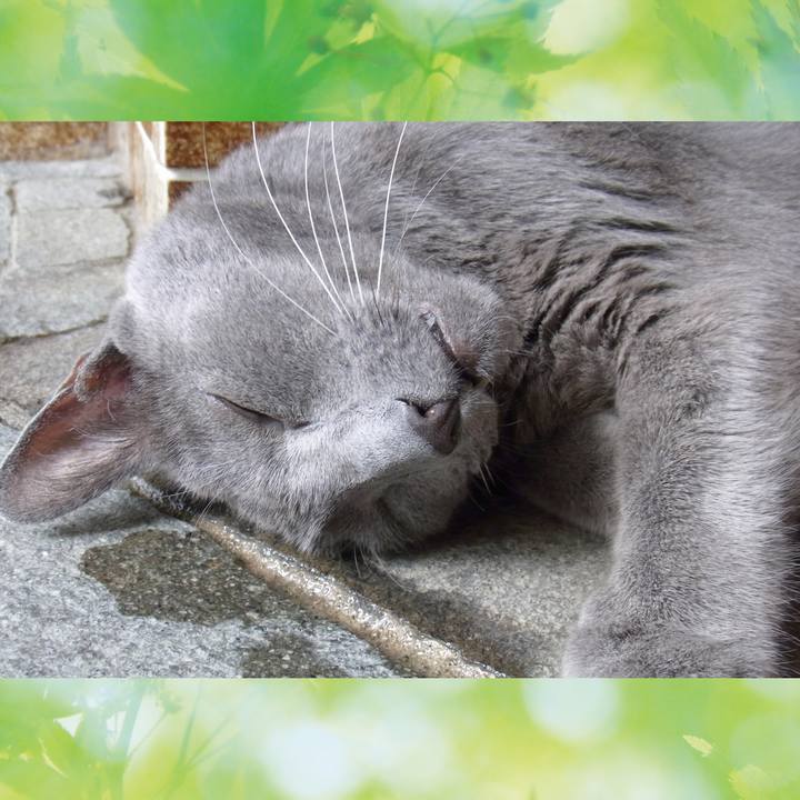 2765e33f c778 4336 a270 3abcacd7f38c