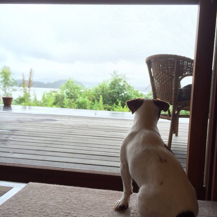 2765f9f4 4951 4dc7 af99 dafcddc51d37