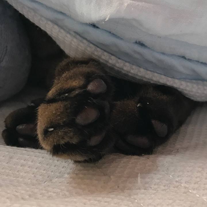 27660eef a486 49a9 b0b5 1060f22abd2f