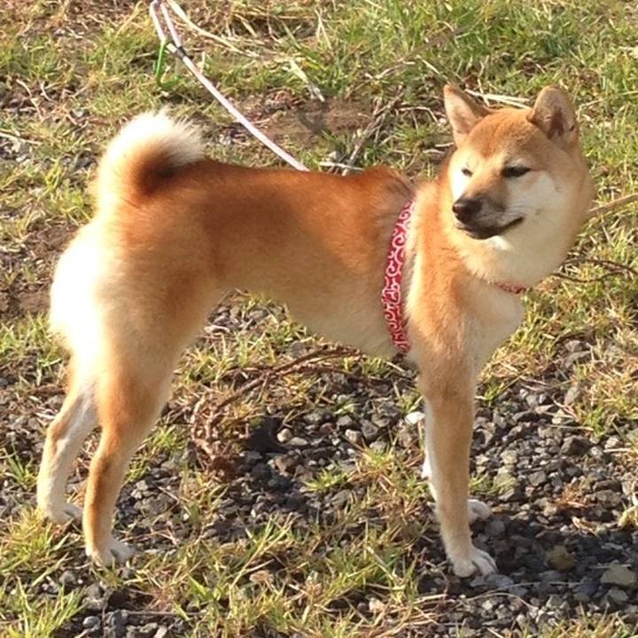 27665d70 fa9d 4954 8957 a1fc4316ea1f