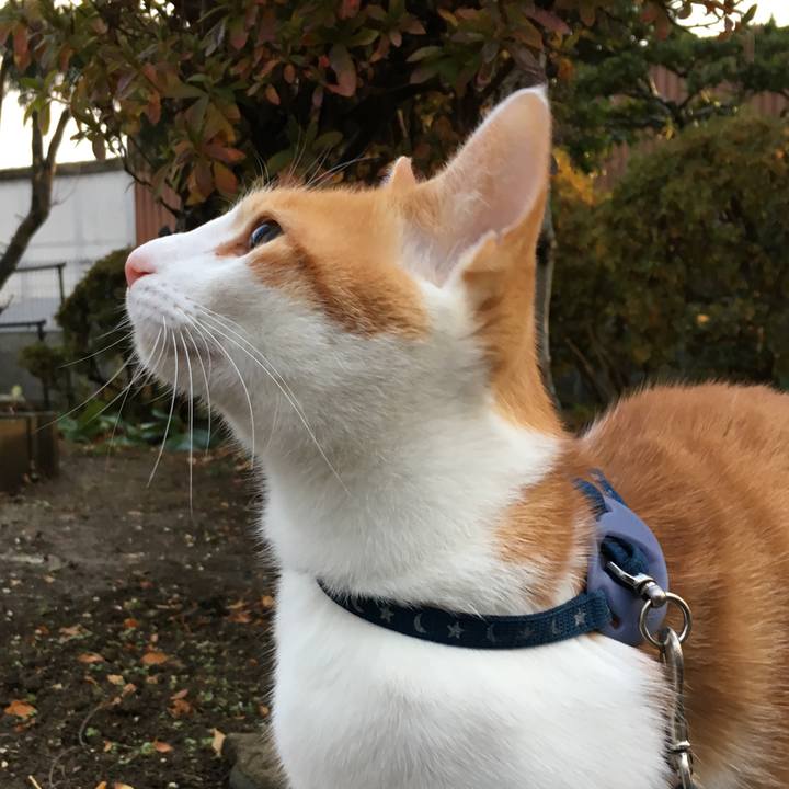 2766df7f 3abf 42e1 abd9 2a7888430529