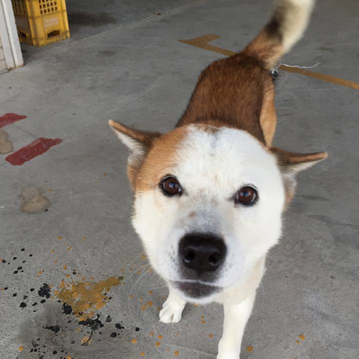 2766e2bc 0056 4a87 b319 0b66a8bde706