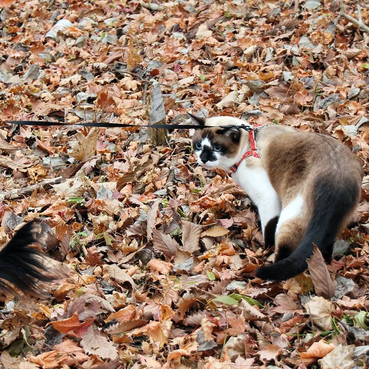 27683eb6 15f3 4566 87b3 8b3c8e774fc3