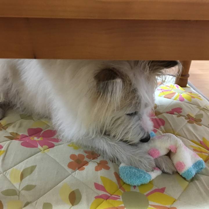 27687702 5d38 4e3a 88b9 80c7eafd17a7