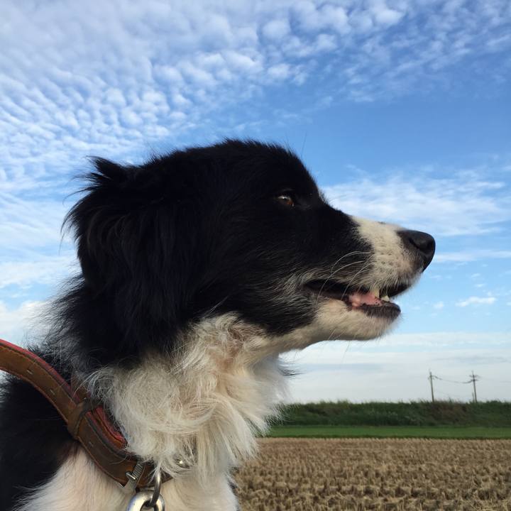 276939d0 34cc 4ef1 8c86 d8e22fd4aa08