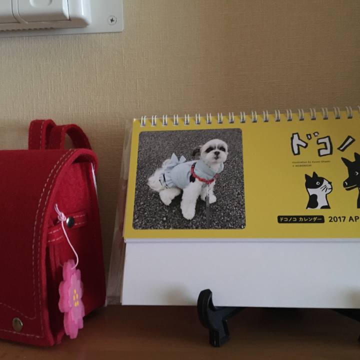 276ae7d1 92e7 48a6 bfc4 6316ea911217