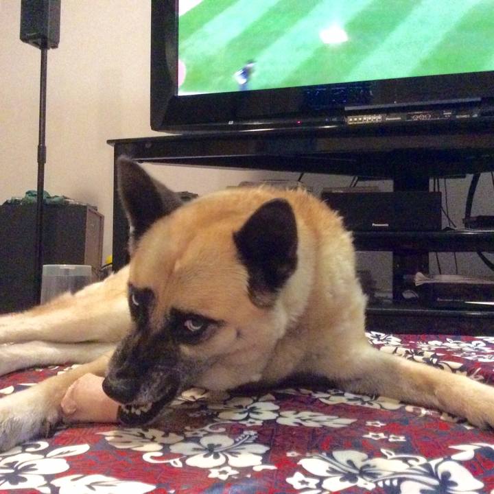 276b36bd 8606 4759 9a32 1dc71d8d72a4