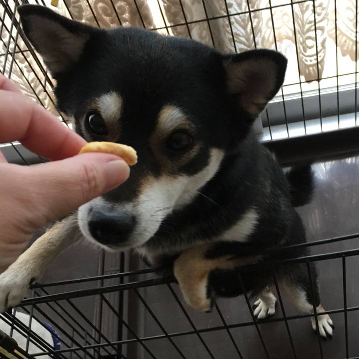 276bc04e 21d0 47ad b076 ade38dcac481