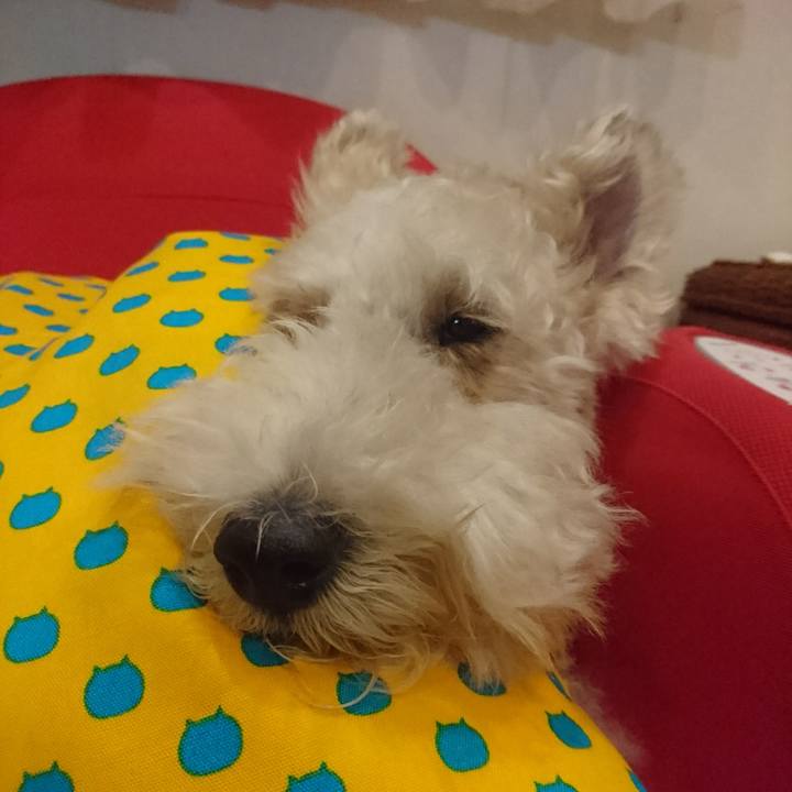 276bd38d 96c9 40f0 bbce 4d9e2c0d89c6