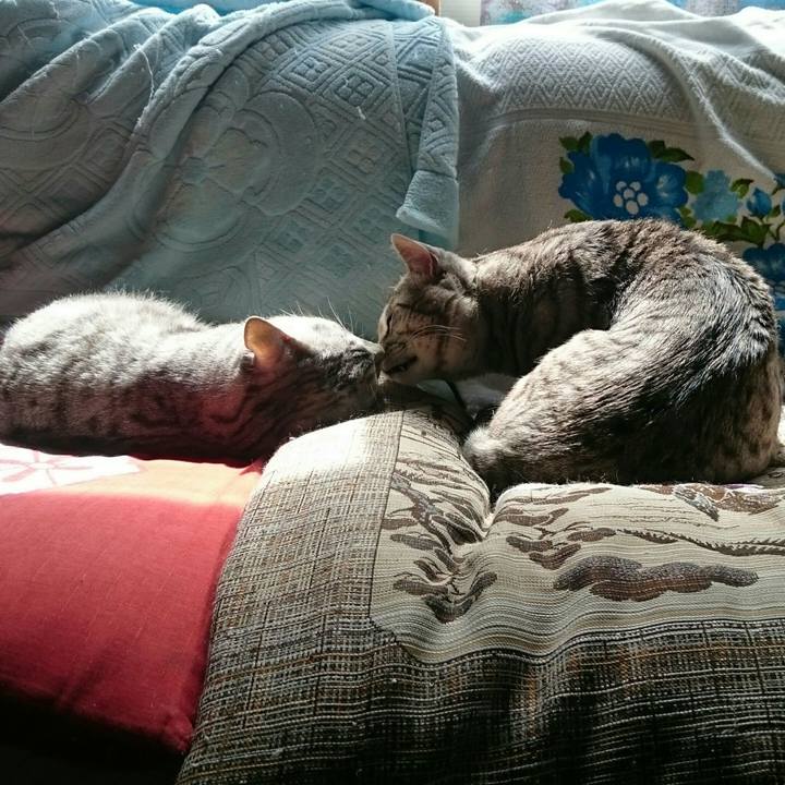 276bd5e7 9b7a 4a6f 90ea 8def238ba5e6