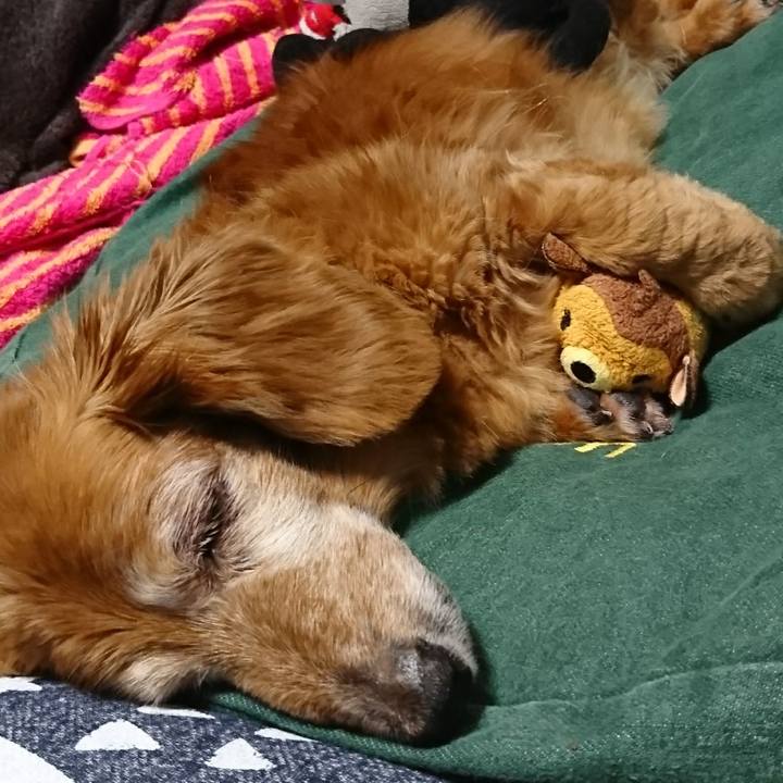 276c3772 0858 40cc a9cf 7760e62ae9a1