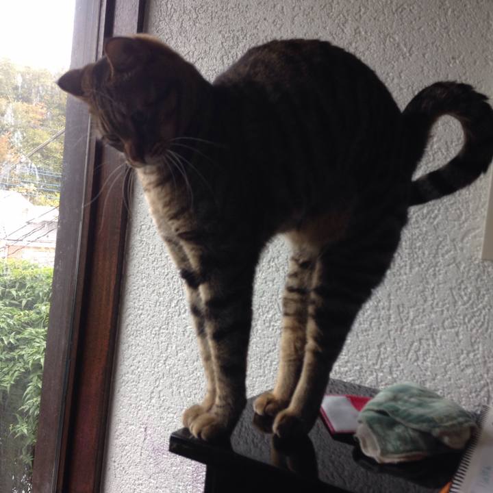 276edcdb 9a81 4a60 a25f fbba398bbc38