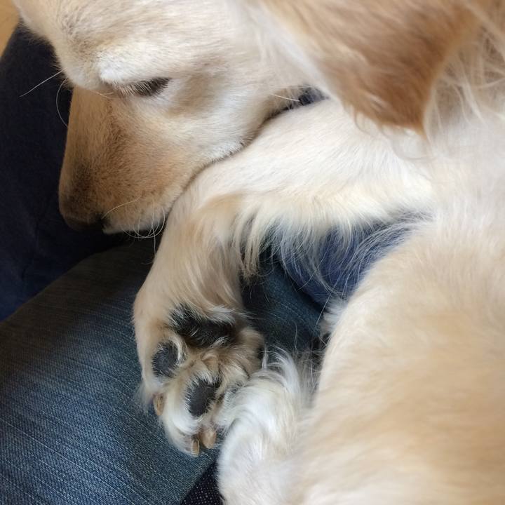 276f22c7 1ac7 4d90 b442 05314df901ae