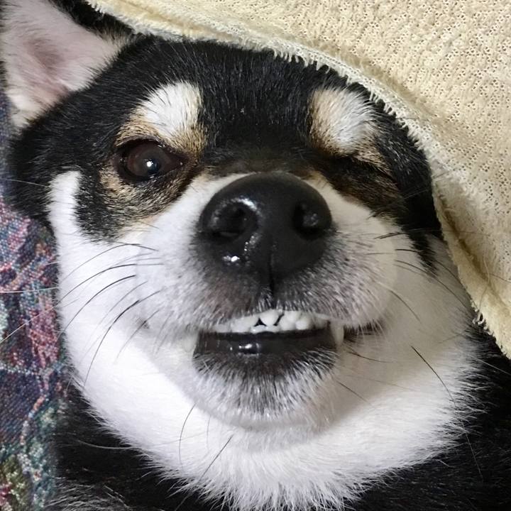 276f2fa2 6c9b 4991 9855 d01c811b89d3