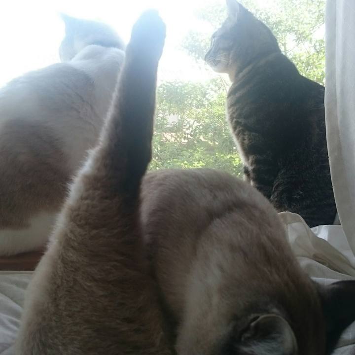 276f5940 9b7a 4c96 b153 80a3eed75d9e