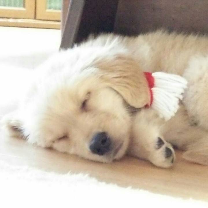 276fc0bc 7a62 4ea1 b051 0edd8f2a7cde