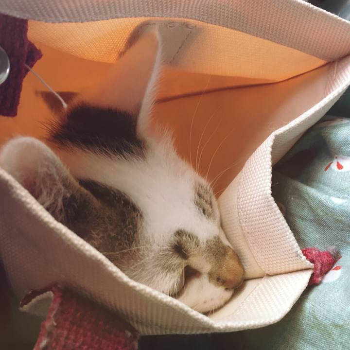 27701729 8d5f 434c a4fa 92ea988addb9