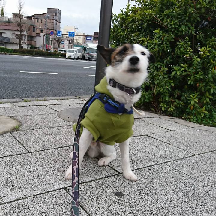 277166d5 53ec 4b19 af6c 495f52b2c095