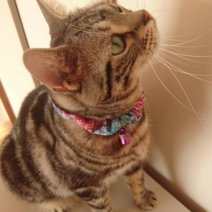 277284b8 b2d1 474c bbb0 d17b914e90d8