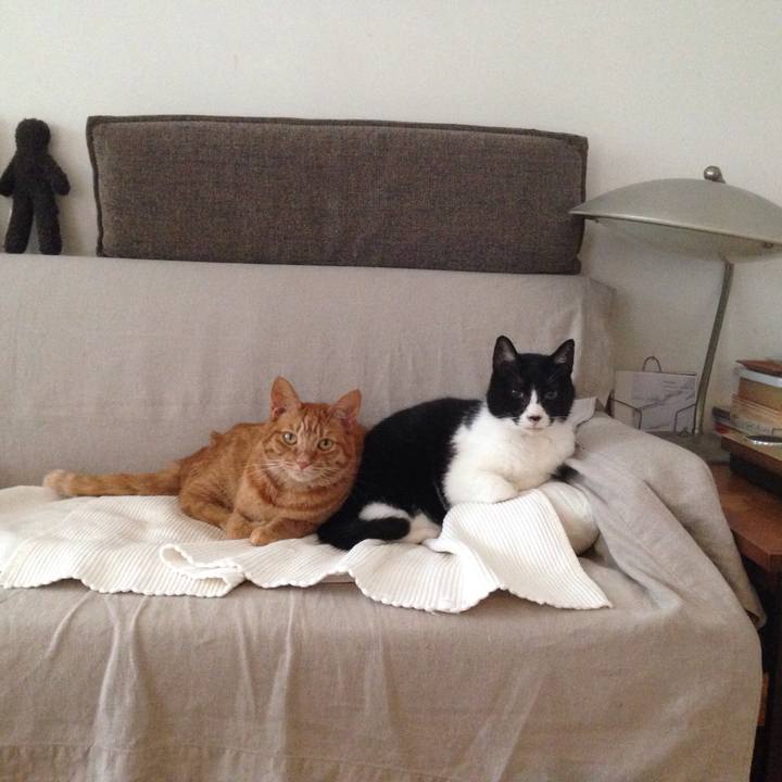 2773044e b567 41e6 87d2 52d1499f1836