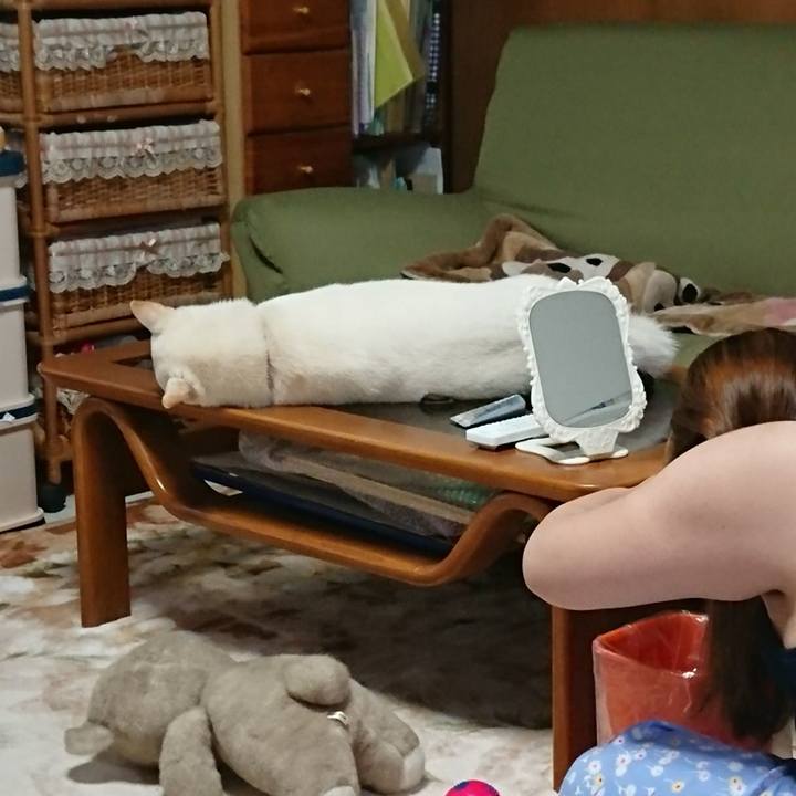 27730df7 ca3c 40c1 bc36 fe6142c009c2