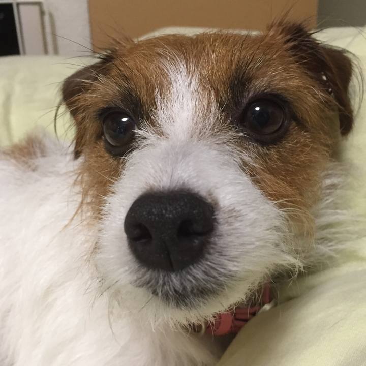 27758768 f15e 43b7 8429 95f96d419813