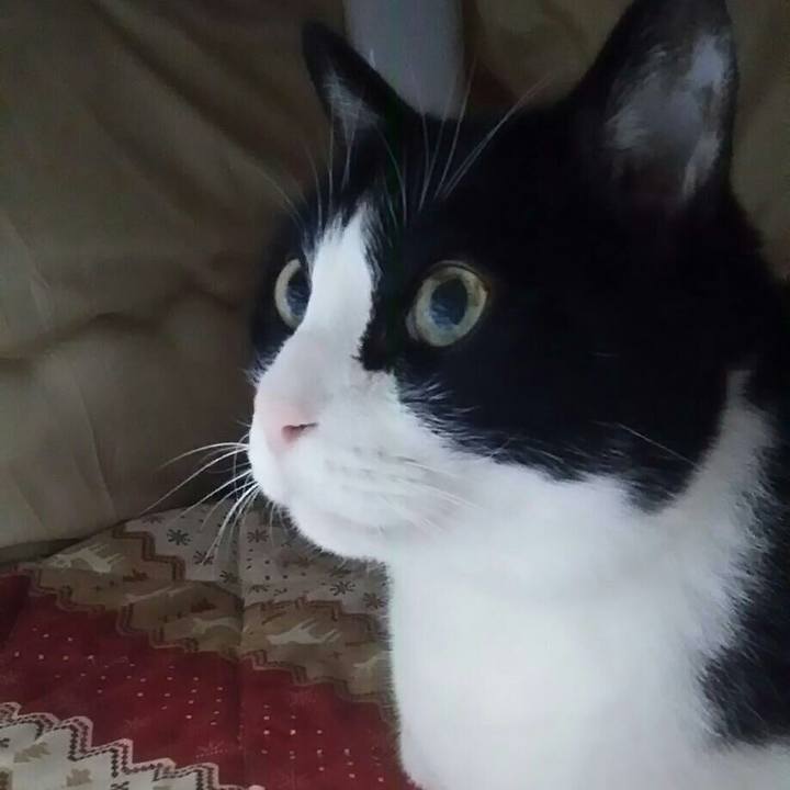 27759da4 dab4 429f a3f8 38841d0d4ec2