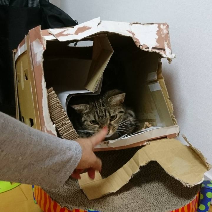 27763533 8334 4c57 841e df34f5a06d07