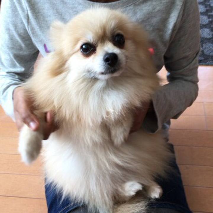 27764981 24e9 43fa 8c82 8b2ca68f4a84